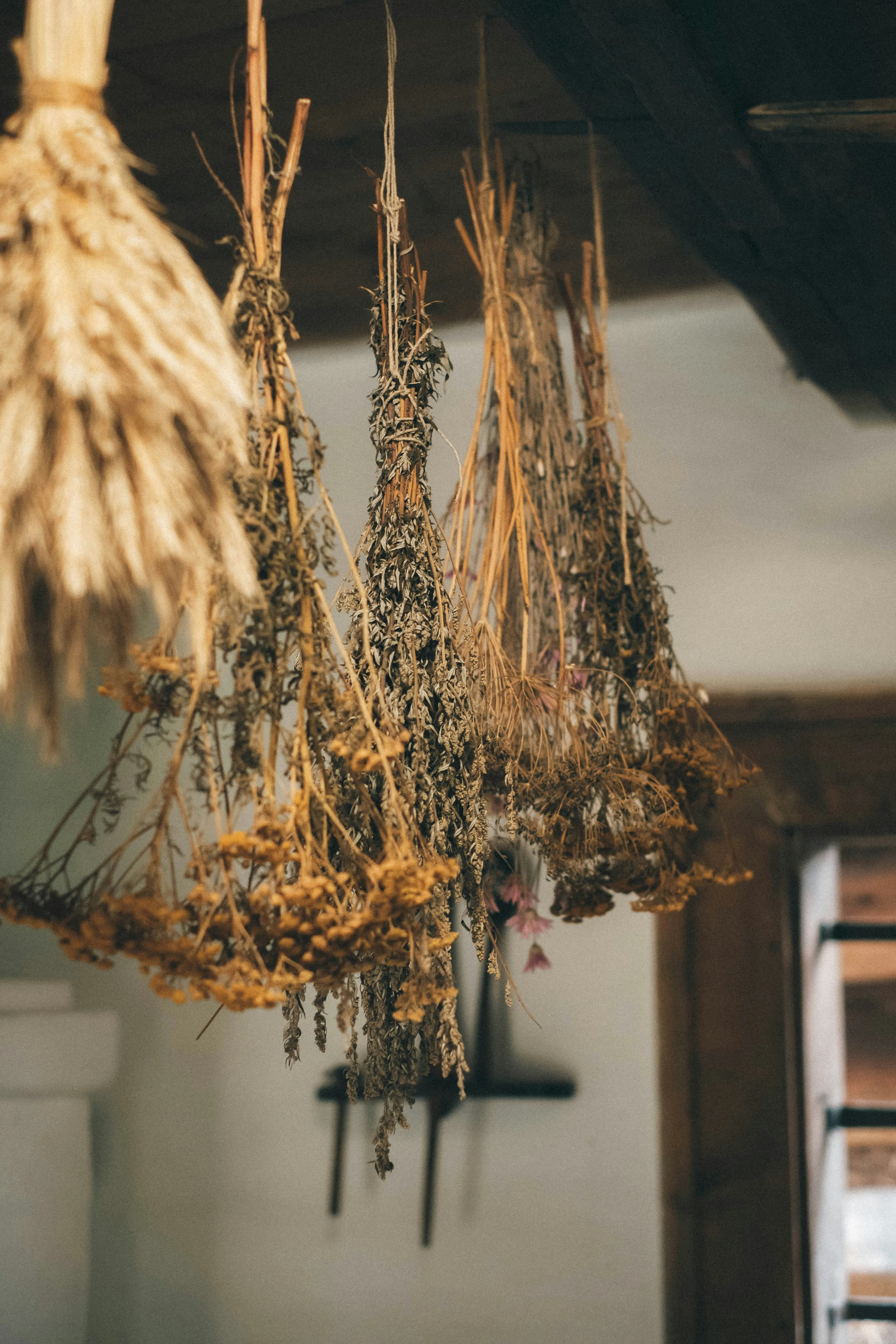 Natural Drying - Traditional herbal preparation | പരമ്പരാഗത മരുന്ന് തയ്യാറെടുപ്പ്